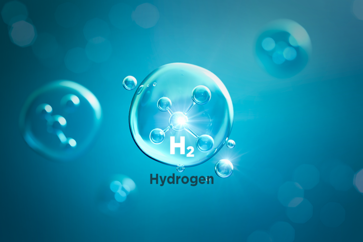 Hydrogen Water Purifiers: Which is Right for You?